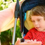 Arte Blog 65 28082025 Blog do Amigo Panda