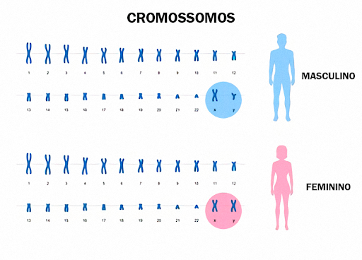 alterações cromossômicas